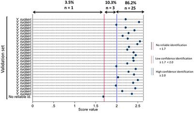 Development and validation of main spectral profile for rapid identification of Yersinia ruckeri isolated from Atlantic salmon using matrix-assisted laser desorption/ionization time-of-flight mass spectrometry